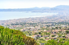 Combo Tour Vesuvio & Pompeii From Naples