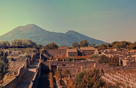 Pompeii Ticket From Naples